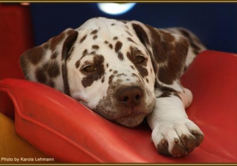 Southern Moon vom Teutoburger Wald