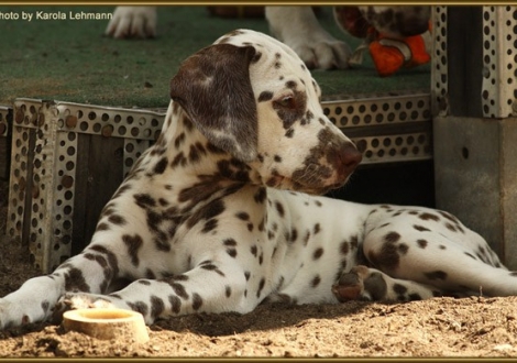 Seventh Heaven vom Teutoburger Wald