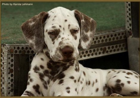 Seventh Heaven vom Teutoburger Wald