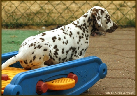 Southern Moon vom Teutoburger Wald