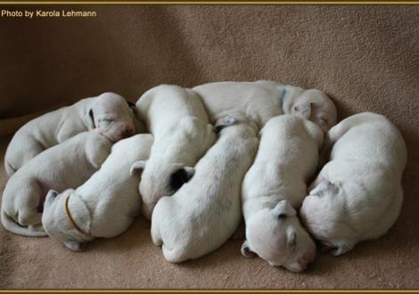 ...in Reih und Glied!