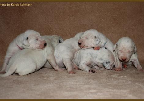 ... alle auf einem Haufen!