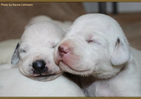 Lady Ohne & Lady Orange