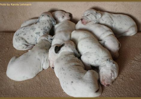 .. ein kuschelndes Häufchen Glück!