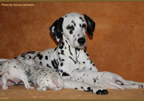 Mama Nabuka vom Teutoburger Wald glücklich und zufrieden!