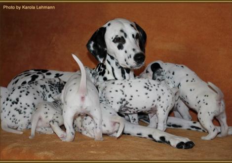 Mutti ist die Beste!