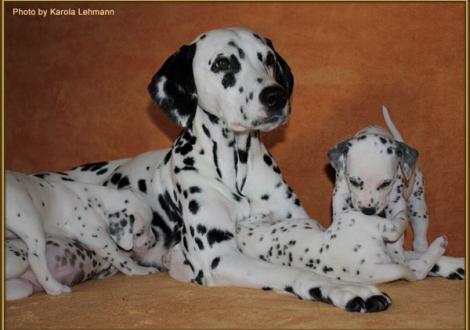 ... von allen Seiten! links: Mr. Blau und rechts Lady Ohne