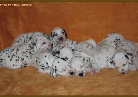 ... puhhh, das war anstrengend!