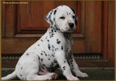 Think Twice vom Teutoburger Wald