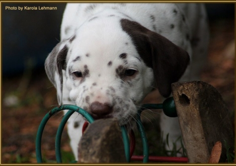 Twilight Zone vom Teutoburger Wald