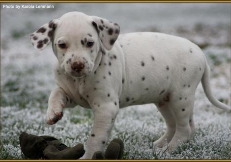 Twist in Time vom Teutoburger Wald