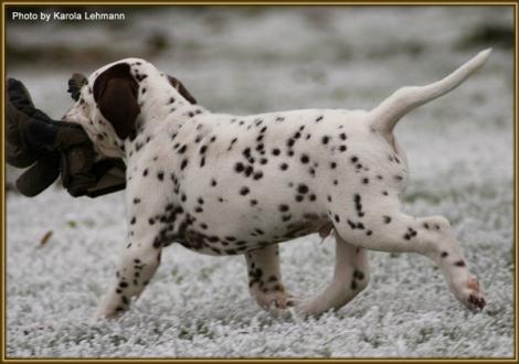 Twilight Zone vom Teutoburger Wald