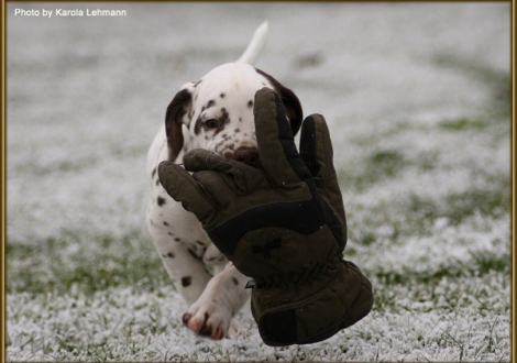 Twilight Zone vom Teutoburger Wald