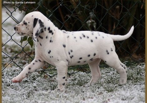 Tiara`s Touch vom Teutoburger Wald