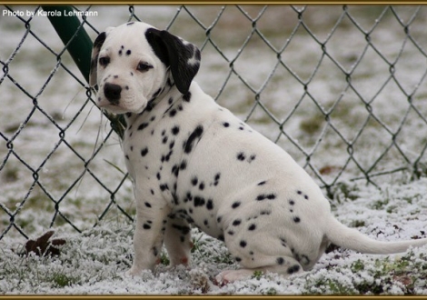 Think Twice vom Teutoburger Wald