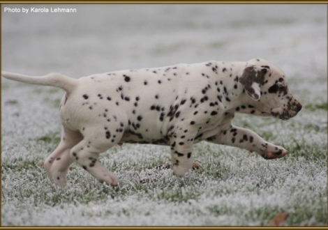 Twilight Zone vom Teutoburger Wald