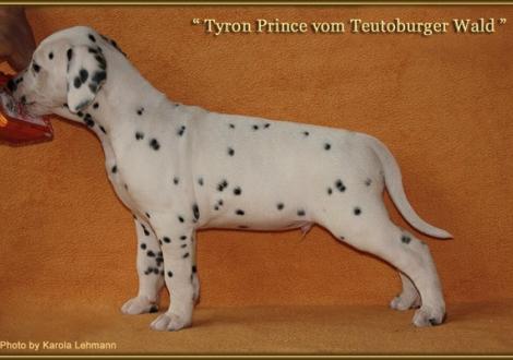 Tyron Prince vom Teutoburger Wald