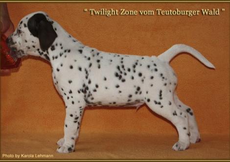 Twilight Zone vom Teutoburger Wald