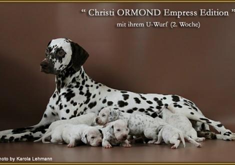 Christi ORMOND Empress Edition mit ihrem U - Wurf