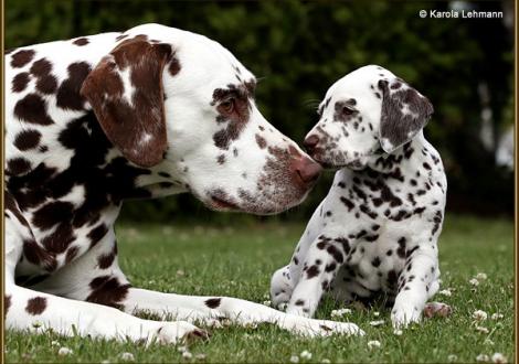 Opa Christi ORMOND Coppola mit seinem Enkel V1 vom Teutoburger Wald (5. Woche)