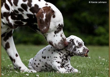 Opa Christi ORMOND Coppola mit seinem Enkel V1 vom Teutoburger Wald (5. Woche)