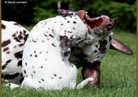 ... Mist, abgeblockt !!!