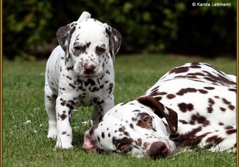 ... menno, Mama hat keinen Bock mehr, dann vergnüge ich mich eben wieder alleine !!!