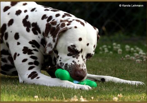 Christi ORMOND Exquisite Selection