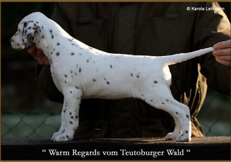 Warm Regards vom Teutoburger Wald