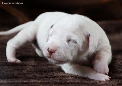 Xperience Me vom Teutoburger Wald (7. Lebenstag)