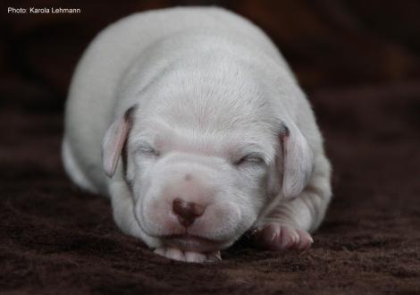 Xperience Me vom Teutoburger Wald (7. Lebenstag)