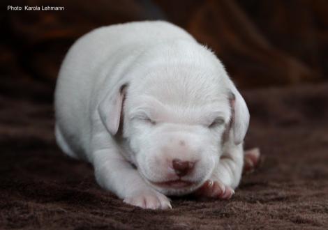 Xperience Me vom Teutoburger Wald (7. Lebenstag)