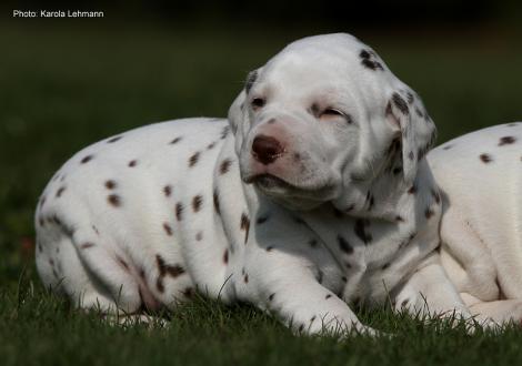 Xperience Me vom Teutoburger Wald (3. Woche)