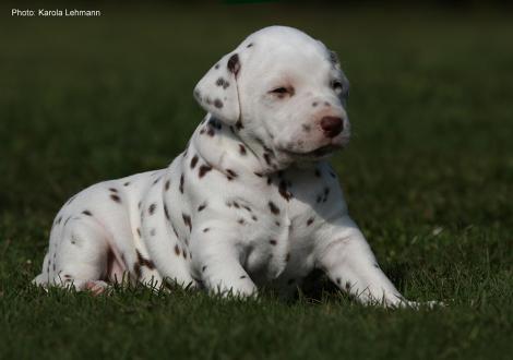 Xperience Me vom Teutoburger Wald (3. Woche)