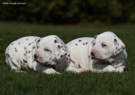 Xperience Me mit ihrem Bruder Xavier vom Teutoburger Wald (3. Woche)