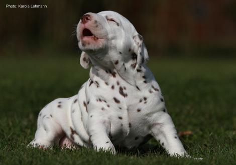 Xperience Me vom Teutoburger Wald (3. Woche)