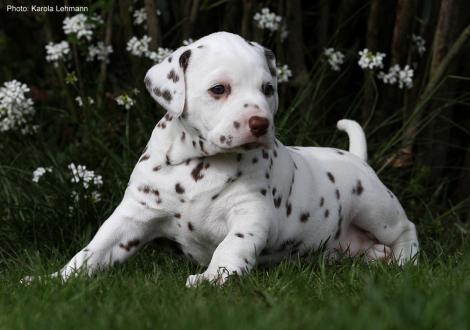 Xperience Me vom Teutoburger Wald (4. Woche)