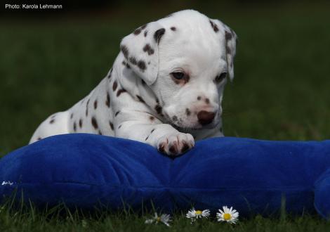 Xperience Me vom Teutoburger Wald (4. Woche)