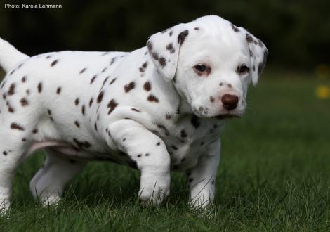 Xperience Me vom Teutoburger Wald (4. Woche)