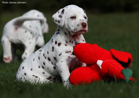 Xperience Me vom Teutoburger Wald (4. Woche)