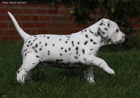 Xperience Me vom Teutoburger Wald (4. Woche)