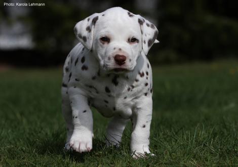 Xperience Me vom Teutoburger Wald (4. Woche)