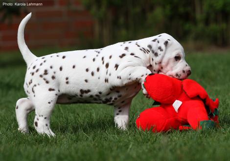 Xperience Me vom Teutoburger Wald (4. Woche)