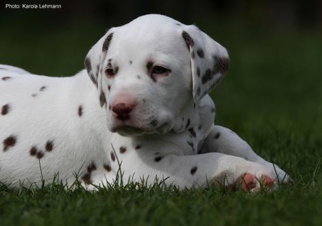 Xavier vom Teutoburger Wald (4. Woche)