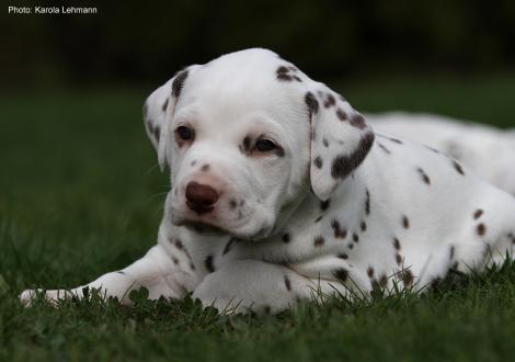 Xperience Me vom Teutoburger Wald (4. Woche)