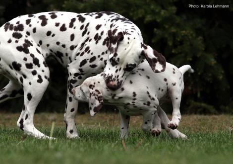 Xperience Me vom Teutoburger Wald (8. Woche) mit Tante Kyra (Christi ORMOND Knjazjouna Kyra)
