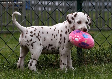 Xperience Me vom Teutoburger Wald (8. Woche)