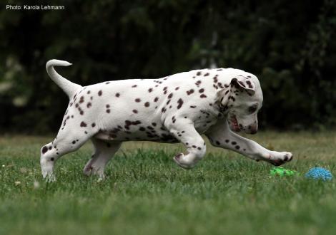 Xperience Me vom Teutoburger Wald (8. Woche)