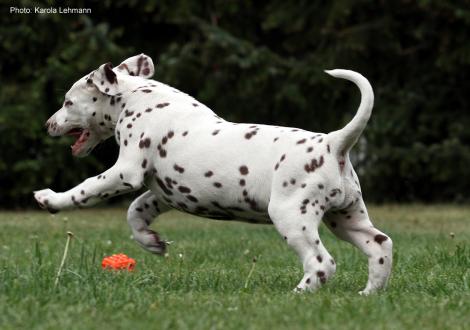 Xperience Me vom Teutoburger Wald (8. Woche)