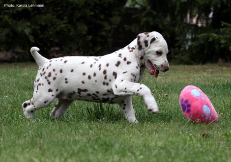 Xperience Me vom Teutoburger Wald (8. Woche)